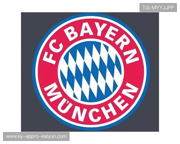 德甲球队官方封面设计赏析与收藏排行 德甲球队官方封面设计赏析与收藏排行