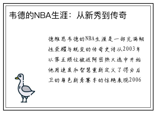 韦德的NBA生涯：从新秀到传奇
