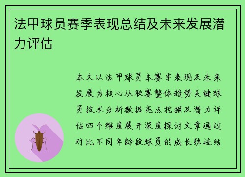 法甲球员赛季表现总结及未来发展潜力评估